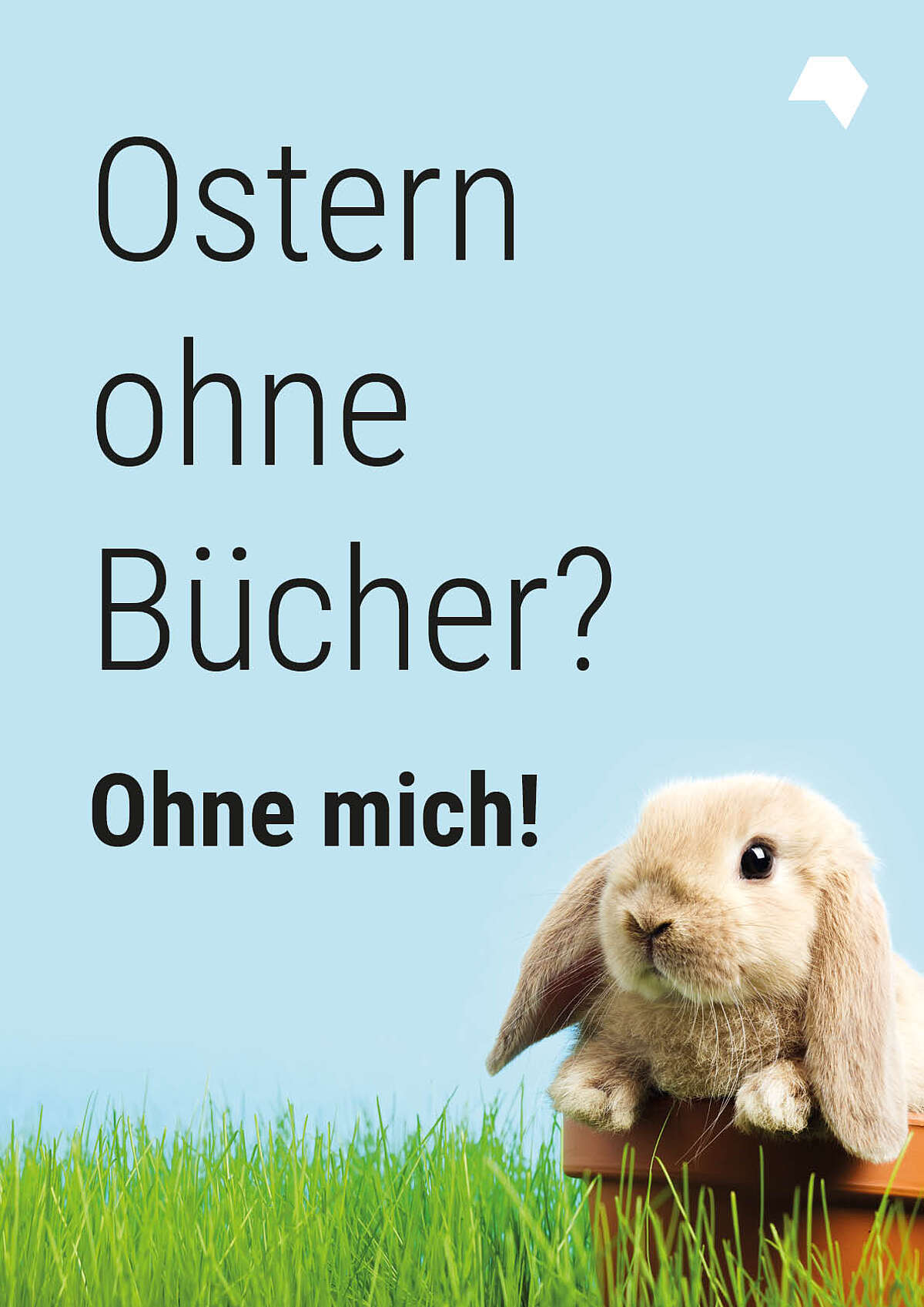 Schwarze Schrift auf blauem Hintegrund, Foto eines Hasen: Ostern ohne Bücher? Ohne mich!